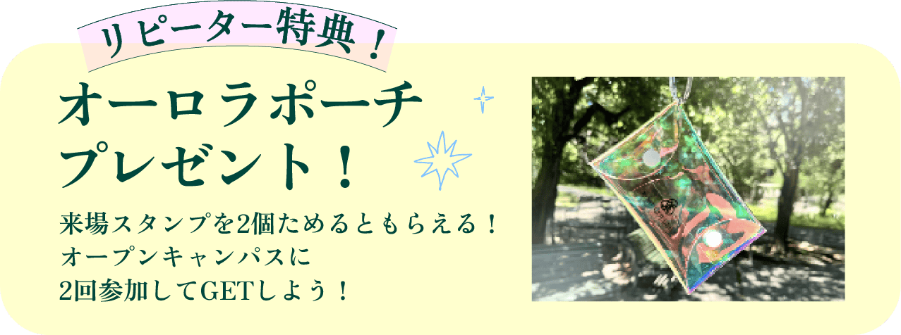 オーロラポーチプレゼント