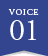 voice01