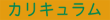 カリキュラム
